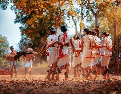 Cultural travel package for Similipal featuring tribal community experiences and forest stays