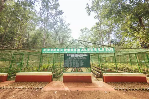 Orchidarium