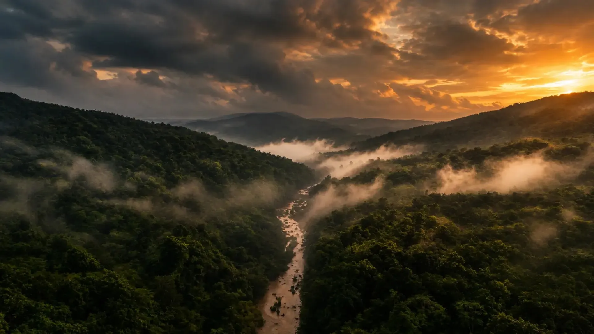 Similipal forest background for booking call to action