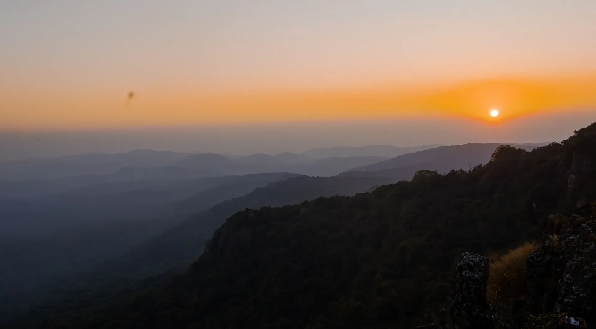 Immersive Similipal forest landscape for tourism packages