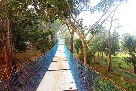Suspension rope bridge through a forest adventure area