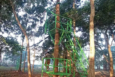 Visitor participating in a tree climbing adventure activity