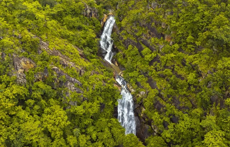 Forest trail and greenery in Similipal